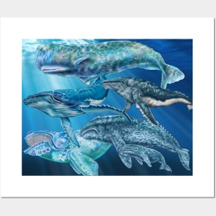 Whales Posters and Art